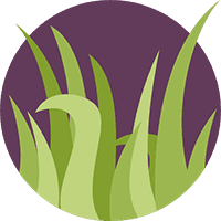 Circular icon of healthy grass